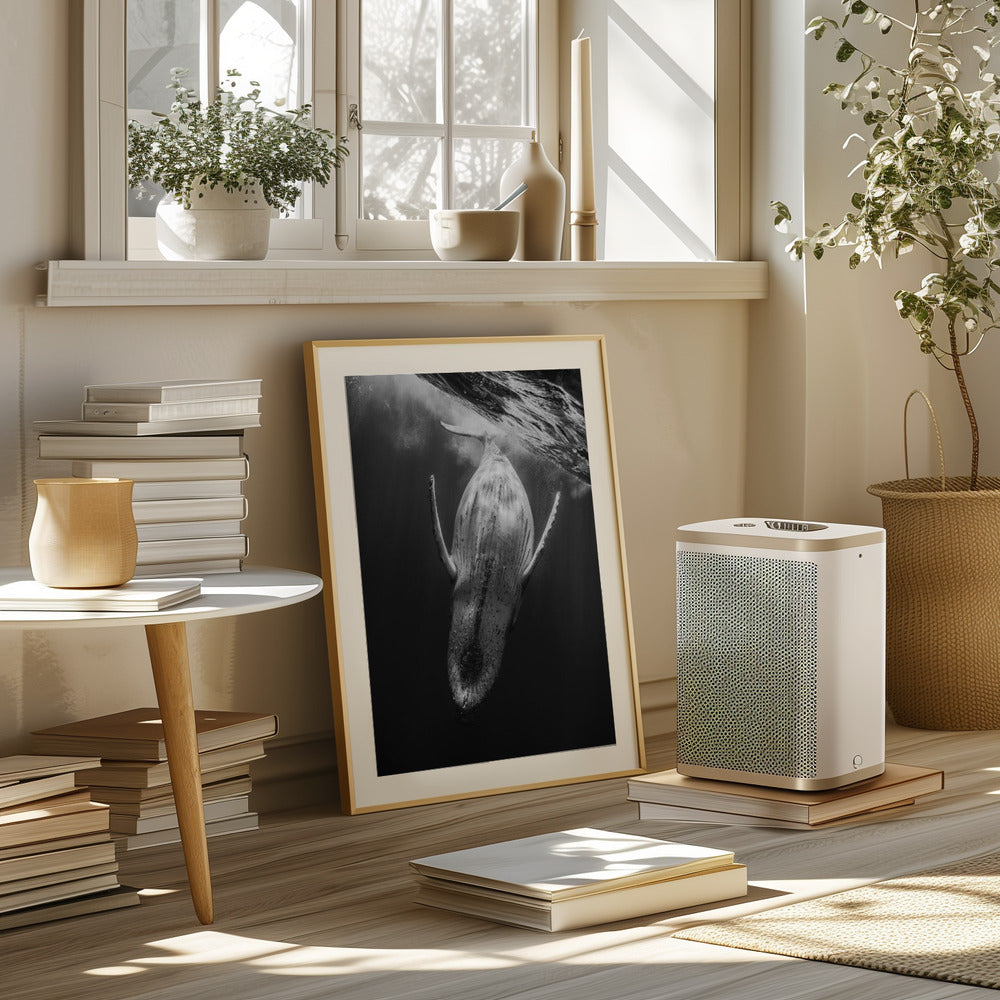 Black & Whale Poster